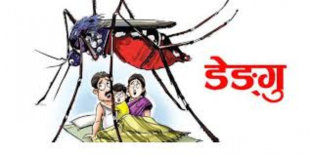 Dengue Biratnagar